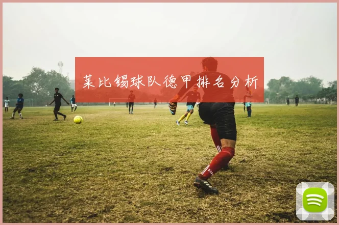 莱比锡球队德甲排名分析