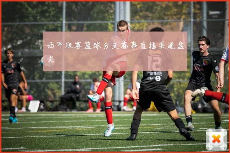 西甲联赛篮球分支赛事直播渠道盘点