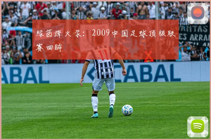 绿茵烽火录：2009中国足球顶级联赛回眸